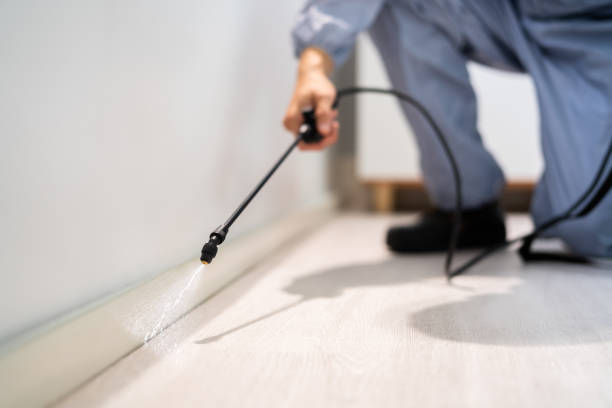 Licensed Pest Control service in Franklin County County, NC - Nex Pest Control