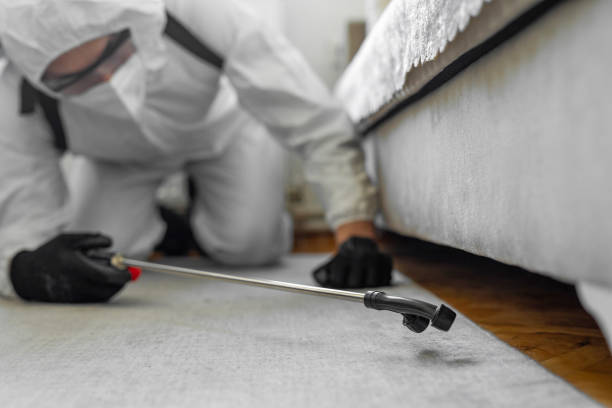 Professional Pest Control technician working in Franklin County County, NC